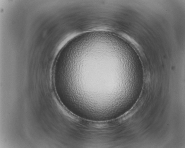 X0000085311423200703231912