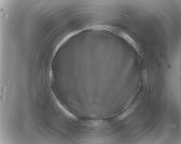 X0000085311428200703231912