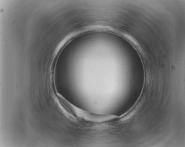 X0000085311430200703231912