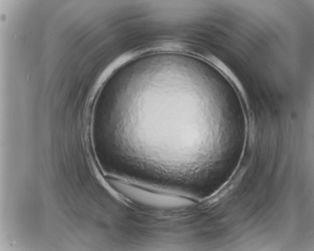 X0000085311437200703231912