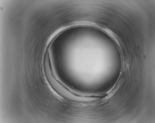 X0000085311438200703231912