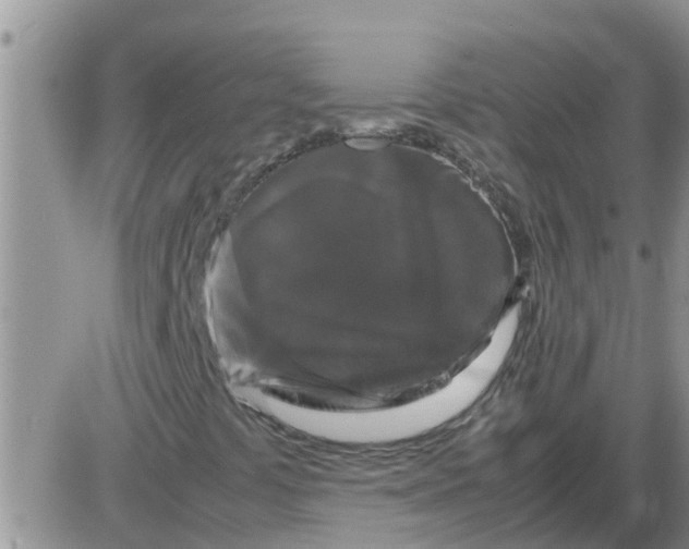 X0000085311441200703231912