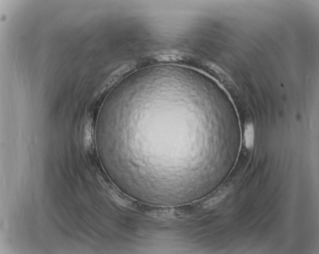 X0000085311444200703231911