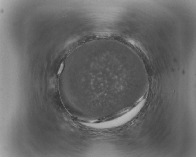 X0000085311445200703231911