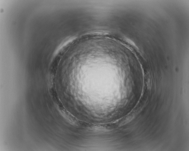 X0000085311448200703231911