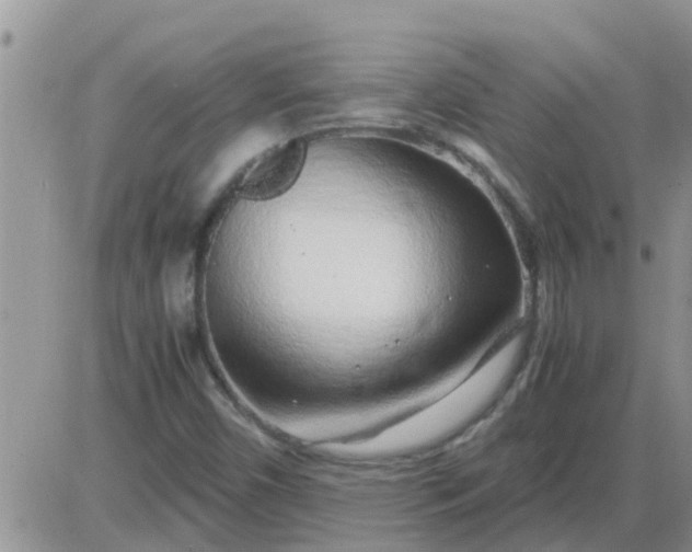 X0000085311450200703231911