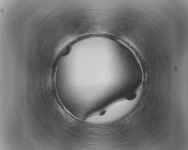 X0000085311452200703231911