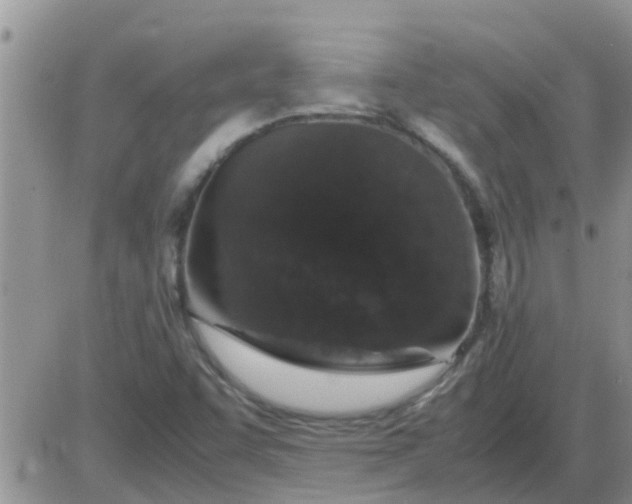 X0000085311455200703231911