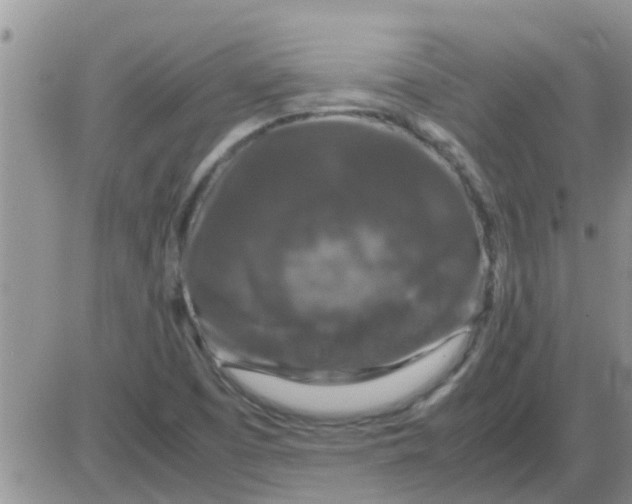 X0000085311457200703231911