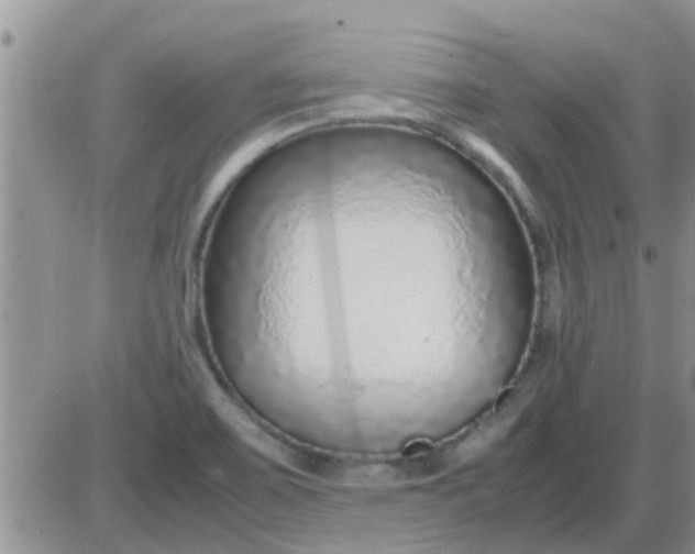 X0000085311467200703231911