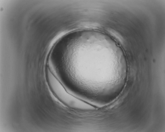 X0000085311471200703231911
