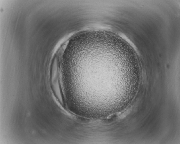 X0000085311477200703231911