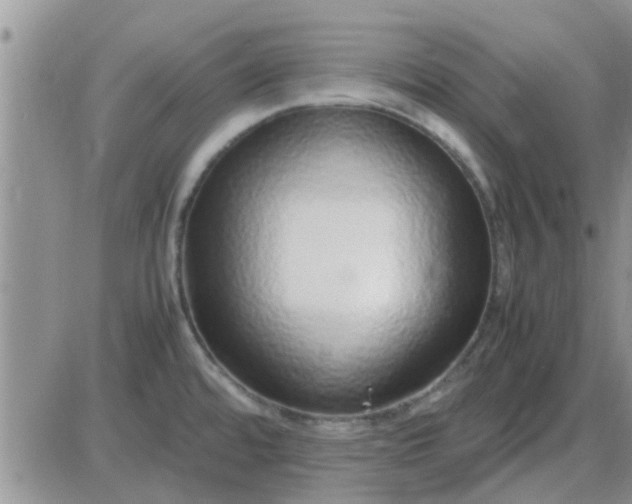 X0000085311480200703231911