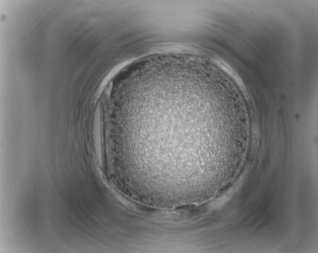 X0000085311481200703231911