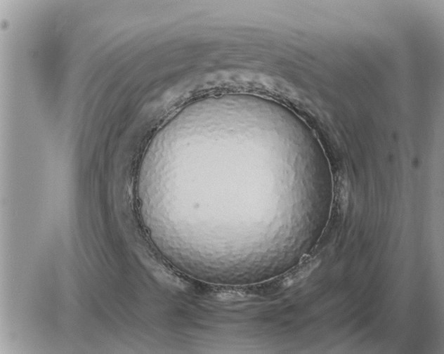 X0000085311489200703231910