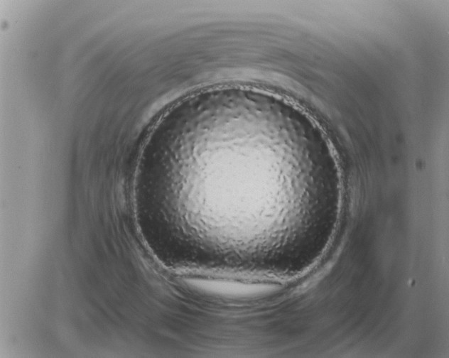 X0000085311497200703231910