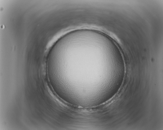 X0000085311504200703231910