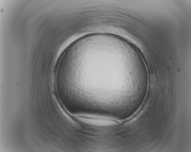 X0000085311517200703231910