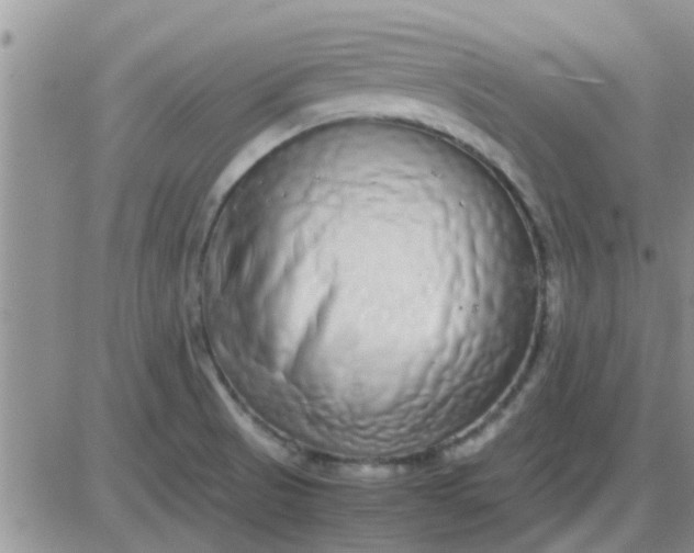 X0000085311521200703231910