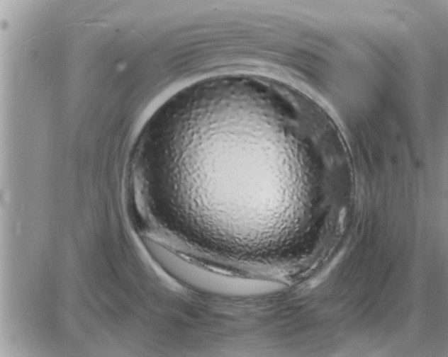 X0000085311533200703231911