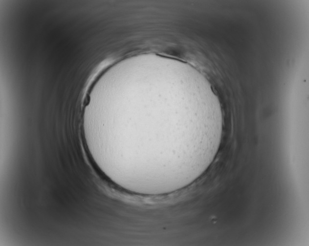 X0000085310003200703302032