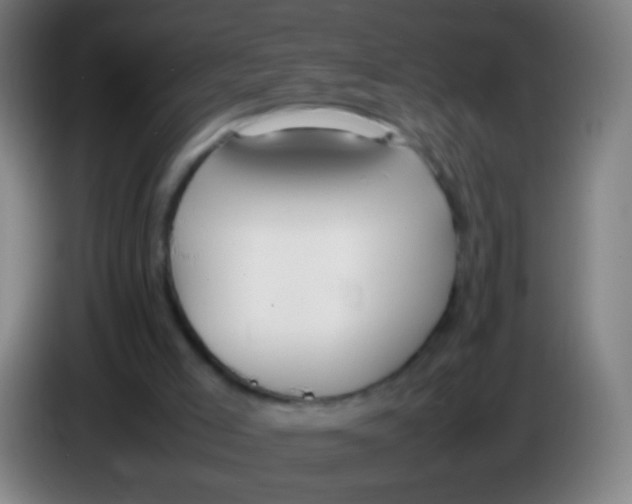 X0000085310005200703302032