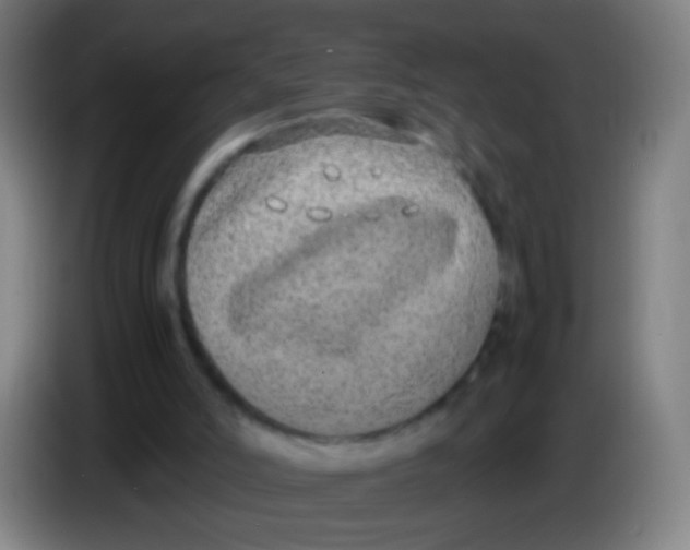 X0000085310006200703302032