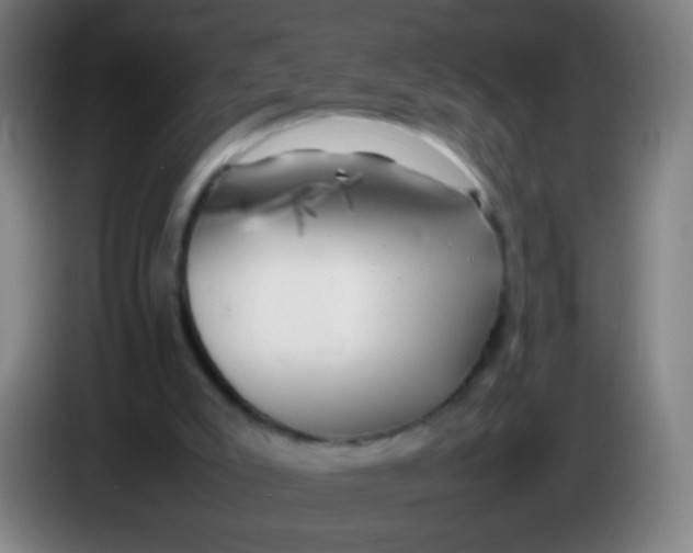 X0000085310007200703302032