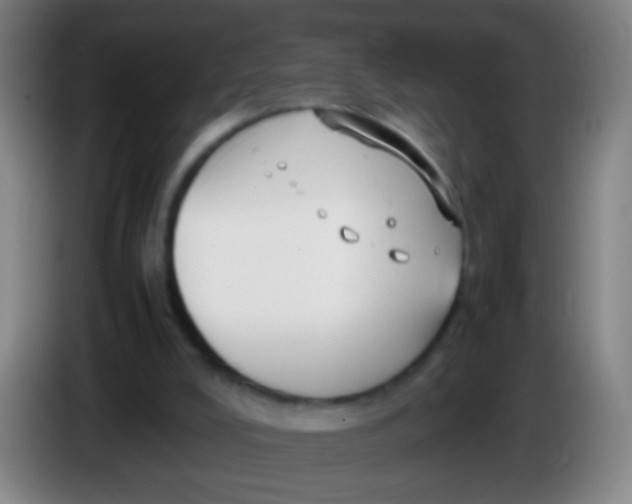 X0000085310008200703302032