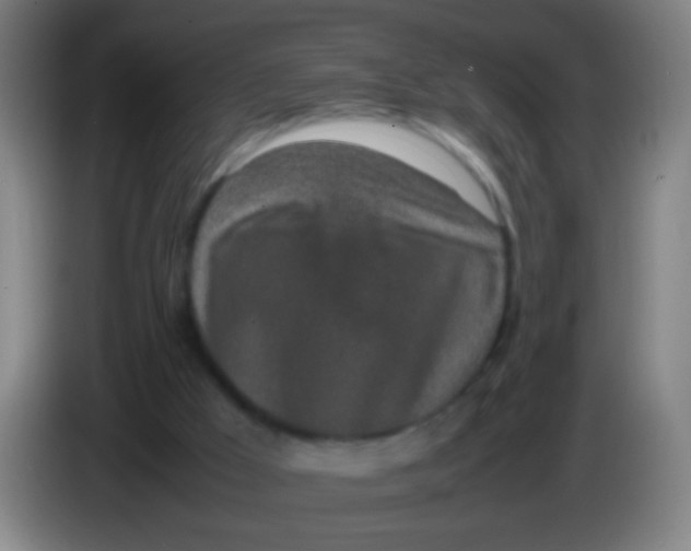 X0000085310009200703302032