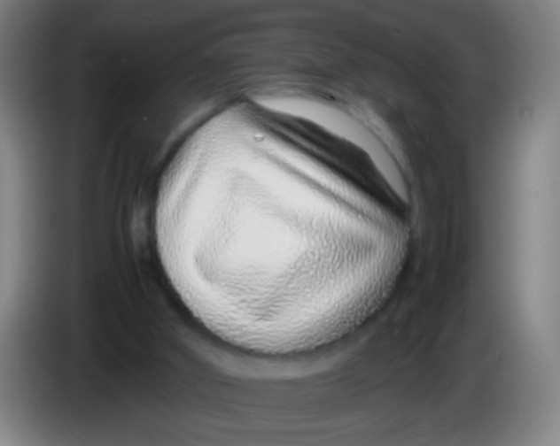 X0000085310010200703302032