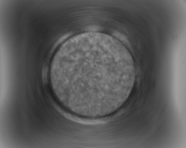 X0000085310012200703302032