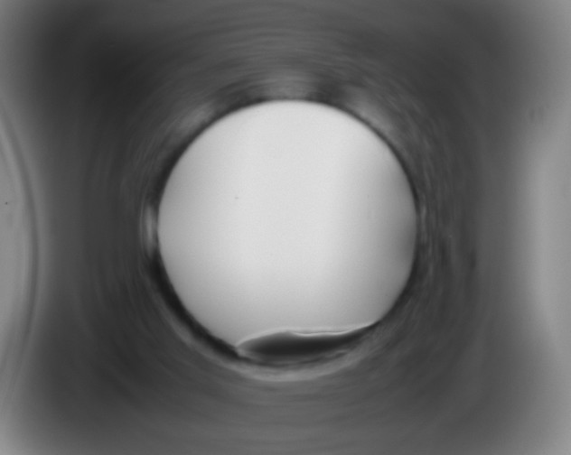 X0000085310013200703302032