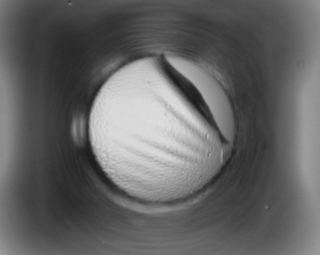 X0000085310014200703302032