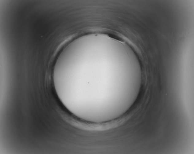 X0000085310015200703302032