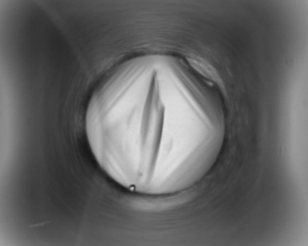 X0000085310017200703302032