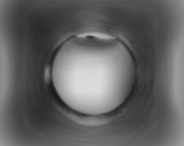 X0000085310020200703302032