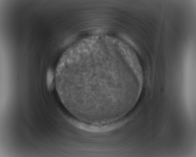 X0000085310022200703302032