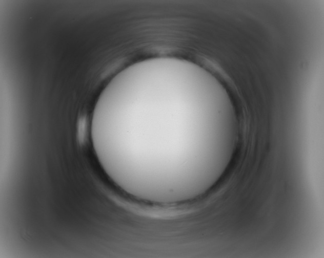 X0000085310024200703302032