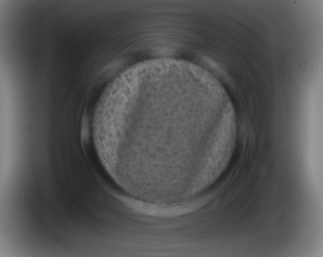 X0000085310026200703302032