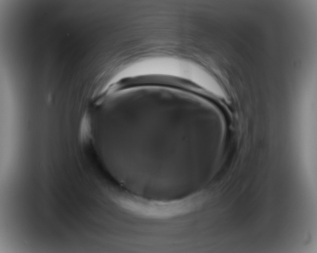 X0000085310027200703302032