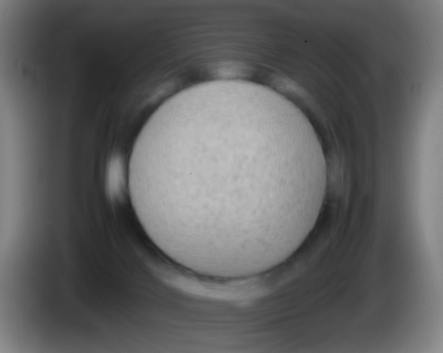 X0000085310028200703302032