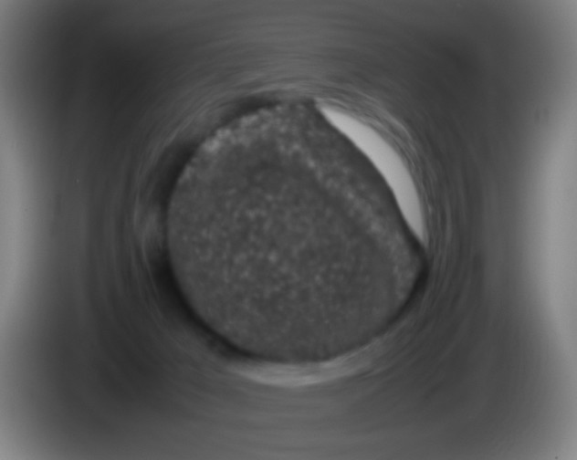 X0000085310029200703302032