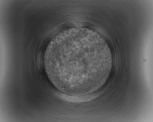 X0000085310030200703302032