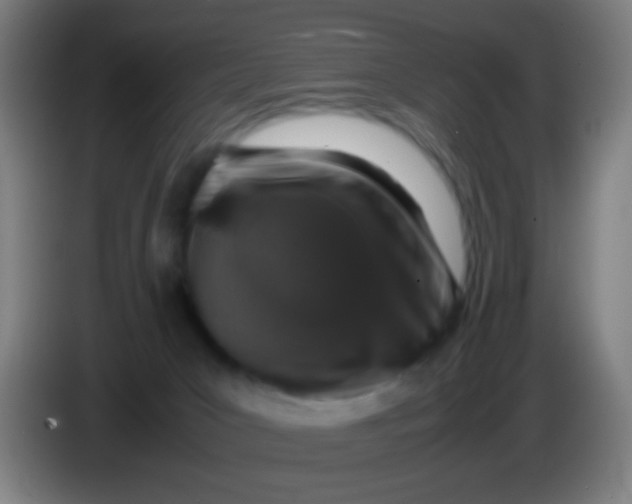 X0000085310031200703302032