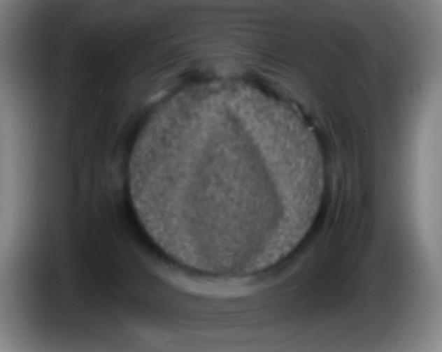 X0000085310032200703302032