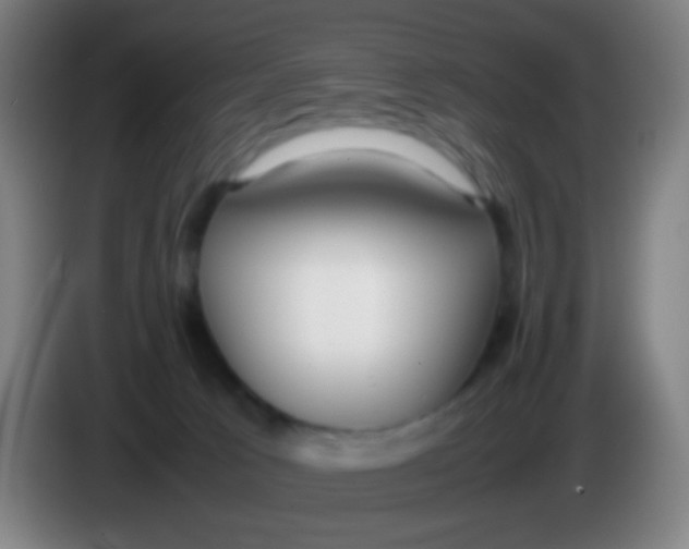 X0000085310033200703302032