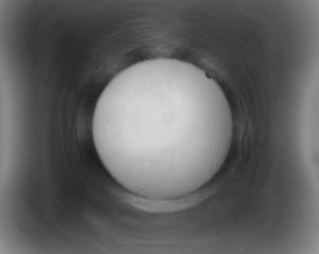 X0000085310034200703302032