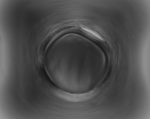 X0000085310035200703302032