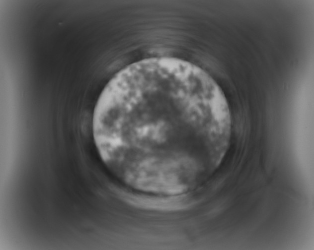 X0000085310036200703302032